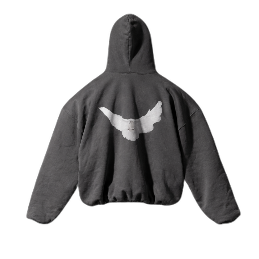 BALENCIAGA X GAP HOODIE