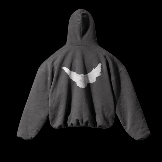 BALENCIAGA X GAP HOODIE